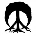 Logo Gnarly | Sport Jennewein